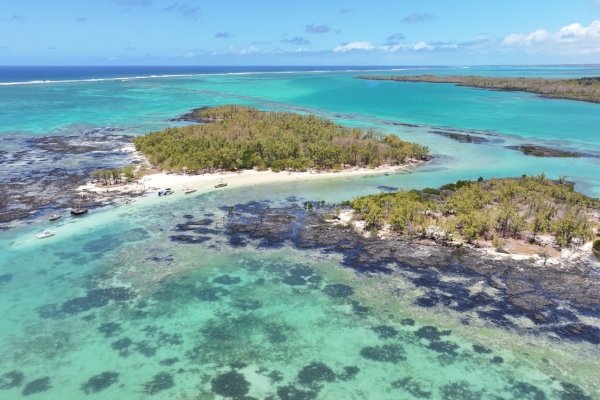 Full Day trip on Bernache Island