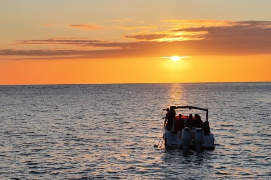 Northen Sunset Cruise