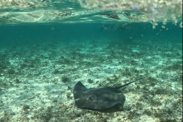 Full day on the Northern Islands