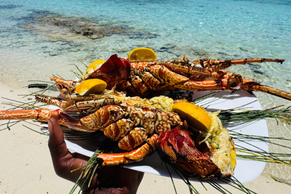 Full day on the Northern Islands