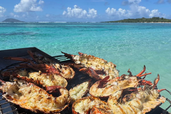 Full day on the Northern Islands